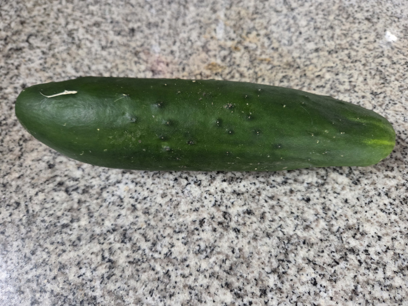 Pepino